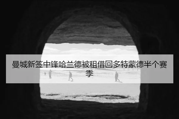 曼城新签中锋哈兰德被租借回多特蒙德半个赛季