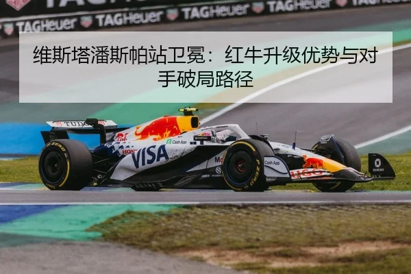 wei-si-ta-pan-si-pa-zhan-wei-mian-hong-niu-sheng-ji-you-shi-yu-dui-shou-po-ju-lu-jing-3-737.jpg