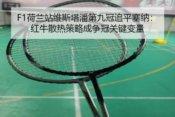 he-lan-zhan-wei-si-ta-pan-di-jiu-guan-zhui-ping-sai-na-hong-niu-san-re-ce-lve-cheng-zheng-guan-guan-jian-bian-liang-3-101.jpg